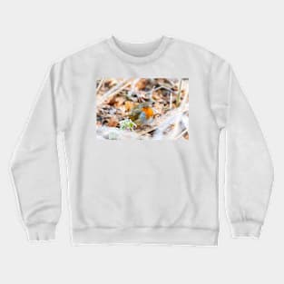 Puffed-up Robin Redbreast in Frost Crewneck Sweatshirt